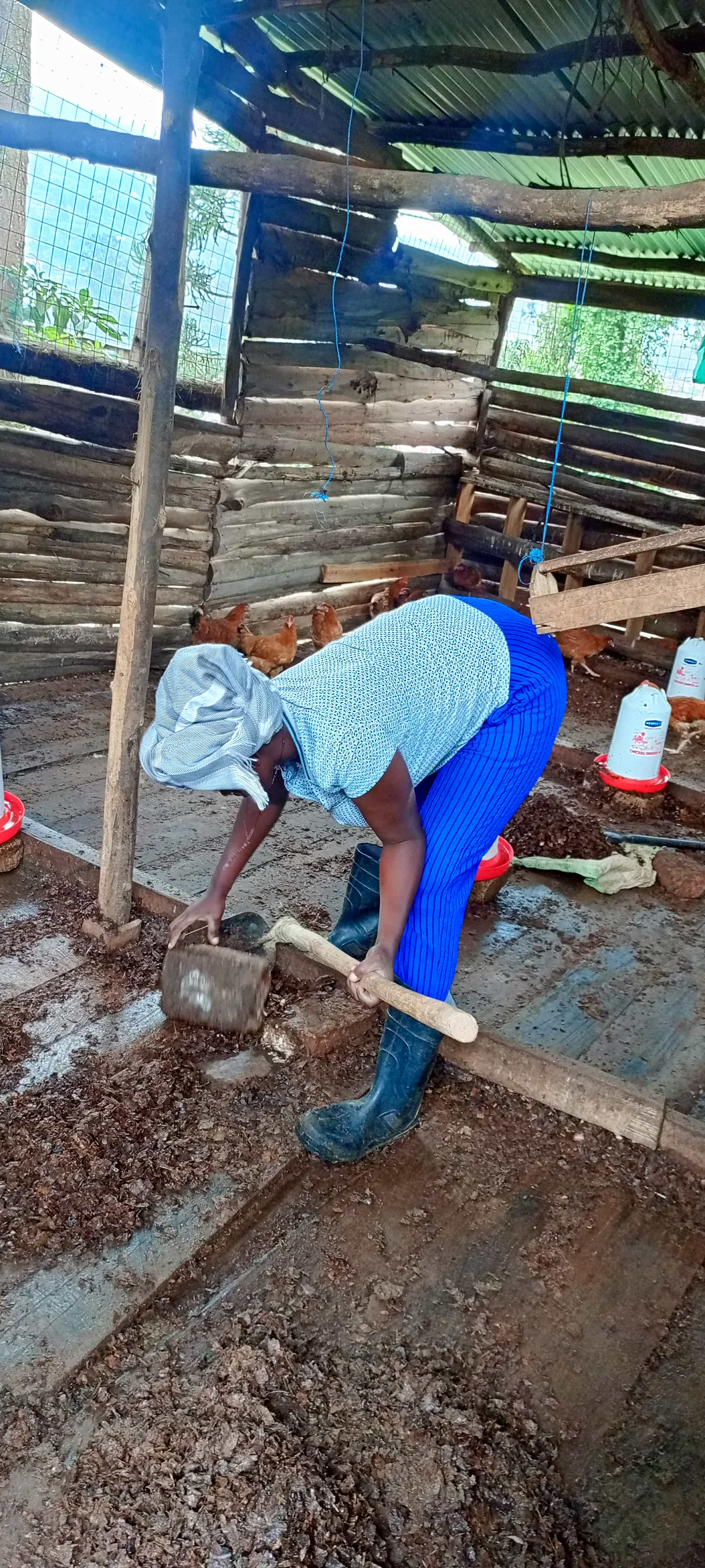 Feeding program distribution